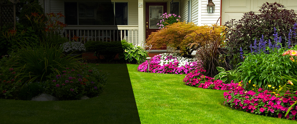 Dyer Landscapers