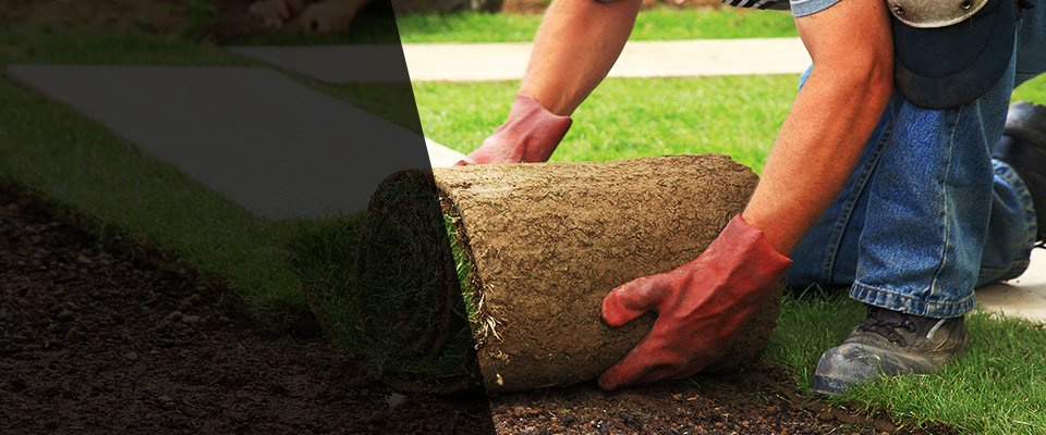 Dyer Landscapers